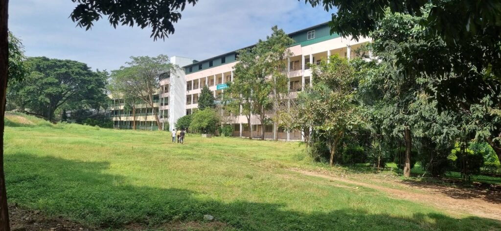 Banner-img5-1-scaled